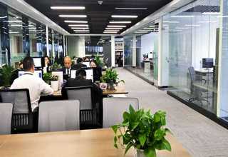 新疆饲料花生秧颗粒料